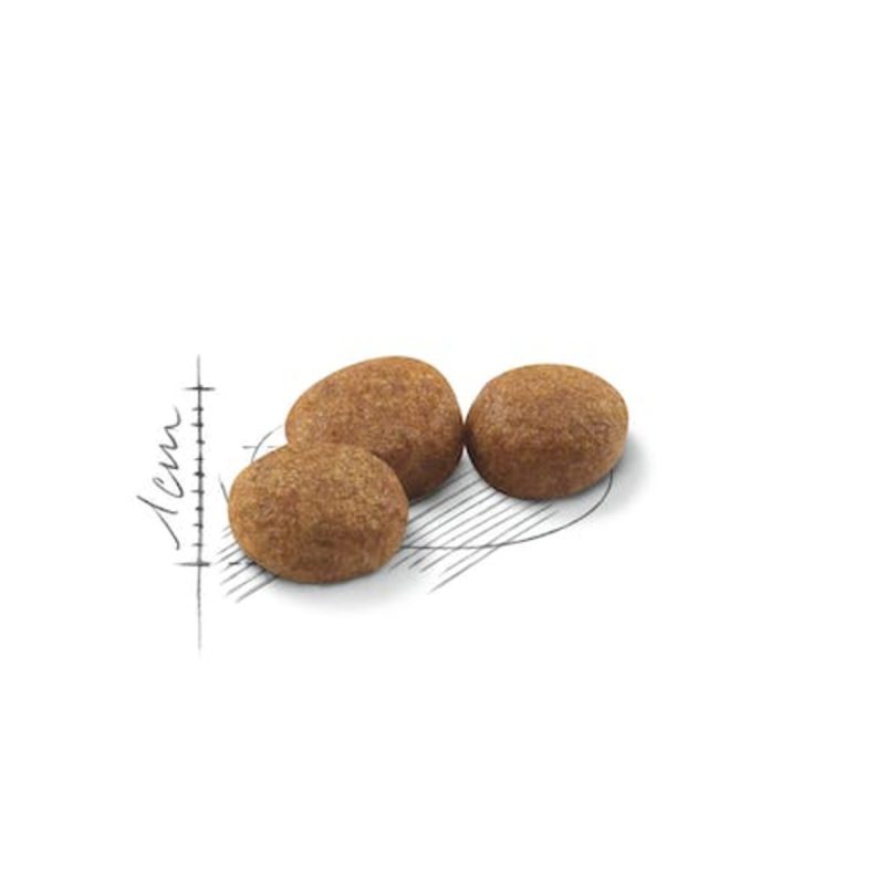 10 Kg Royal Canin Sterilised pienso para gatos