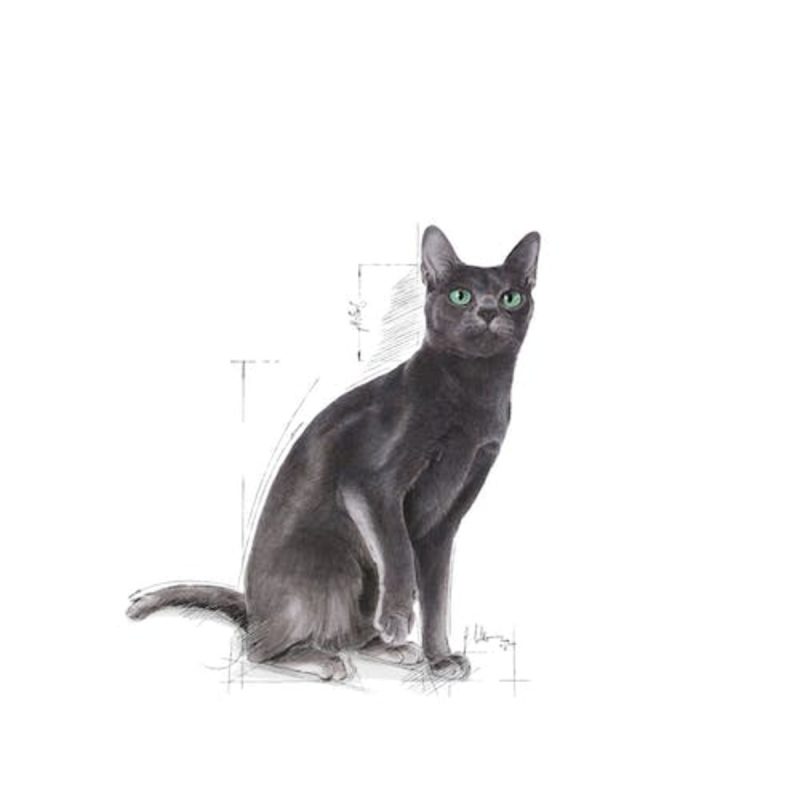 10 Kg Royal Canin Sterilised pienso para gatos