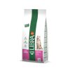 12 Kg Libra Hond Hoge Energie