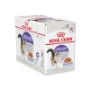 12×85 g di Royal Canin Sterilised Jelly