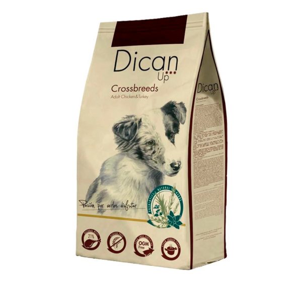 14 Kg Dican Up Kreuzungen Huhn und Pute Hundefutter