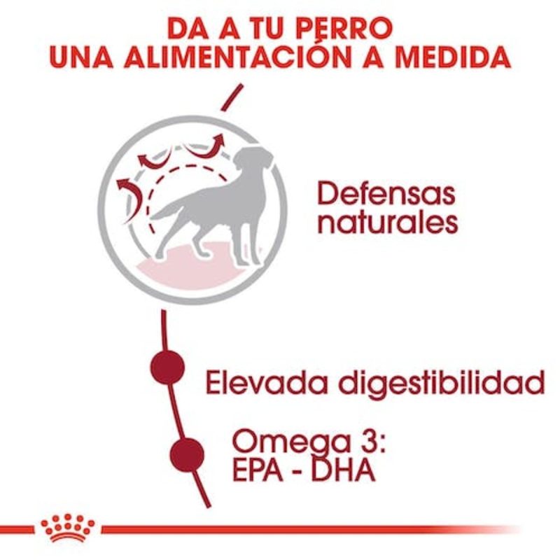 15 Kg Royal Canin Medium Adult pienso para perros