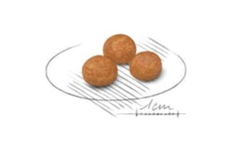 1,5 kg Royal Canin X-Small Adult