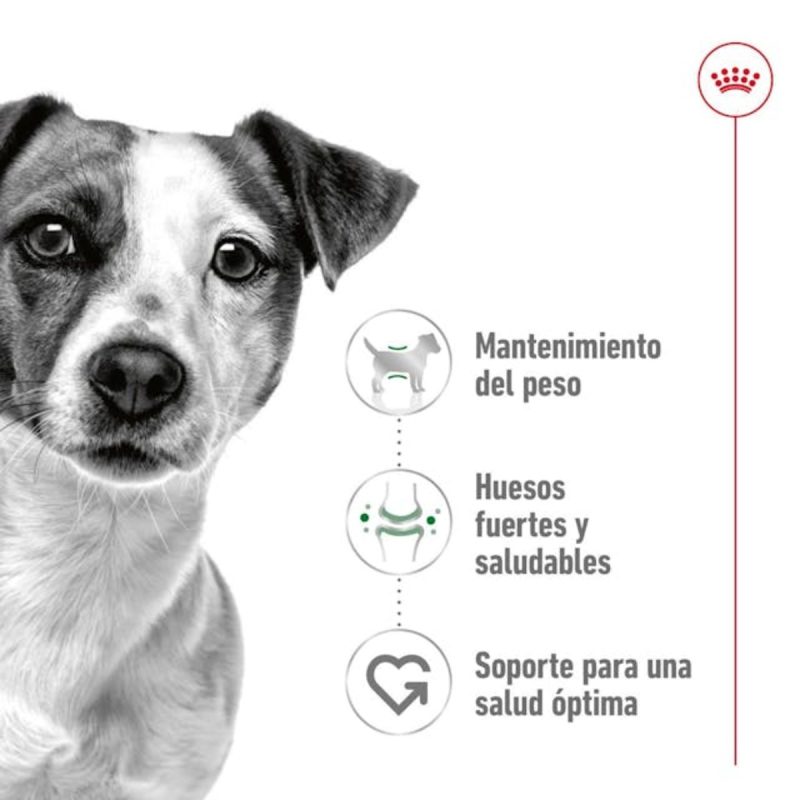 2 Kg Royal Canin Mini Adult