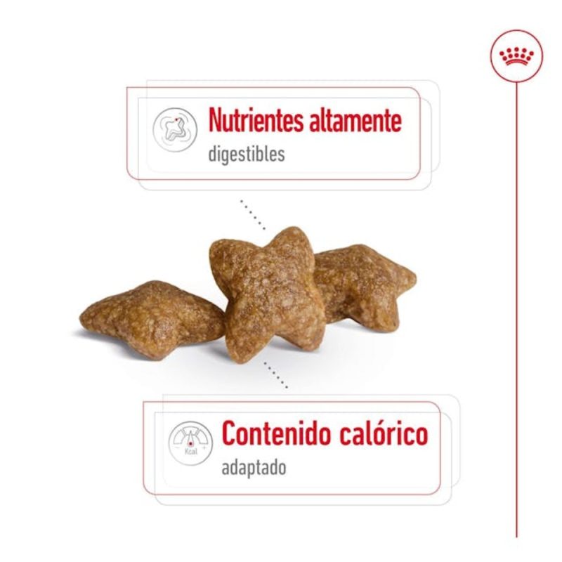 2 Kg Royal Canin Mini Adult