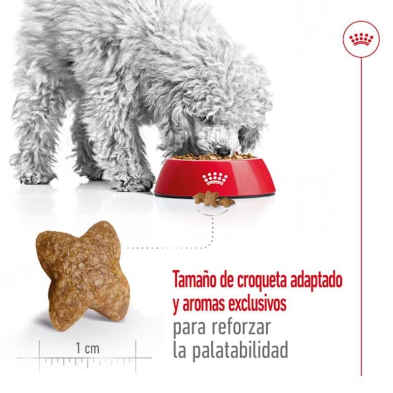 2 Kg Royal Canin Mini Adult