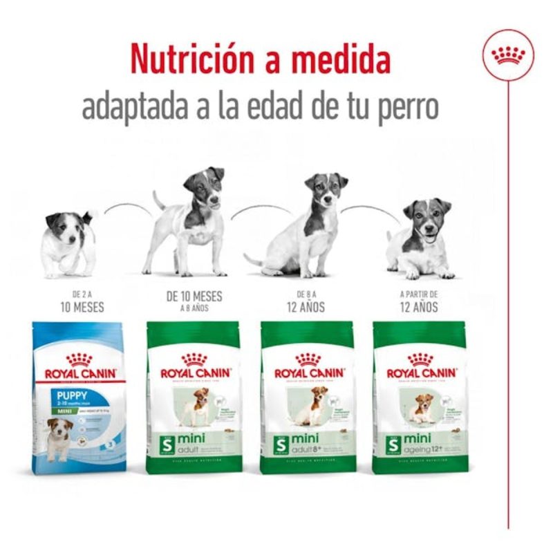 2 Kg Royal Canin Mini Adult