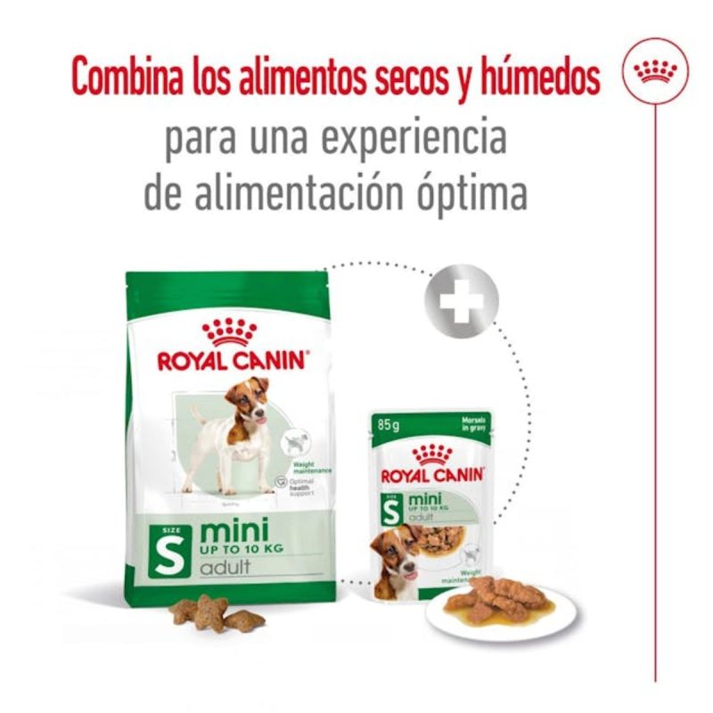 2 Kg Royal Canin Mini Adult