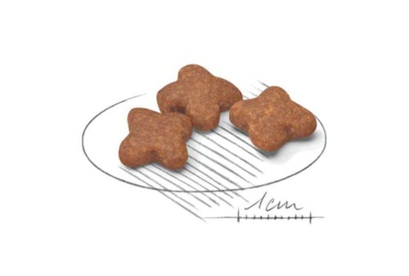 2 Kg Royal Canin Mini Adult 8+