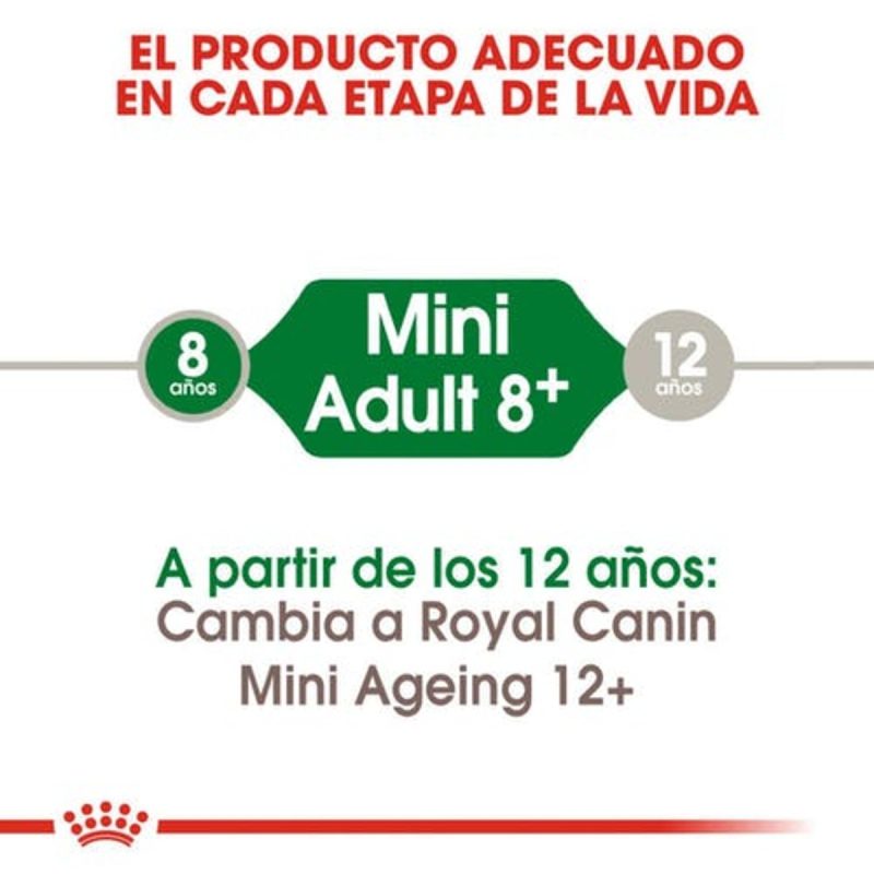 2 Kg Royal Canin Mini Adult 8+