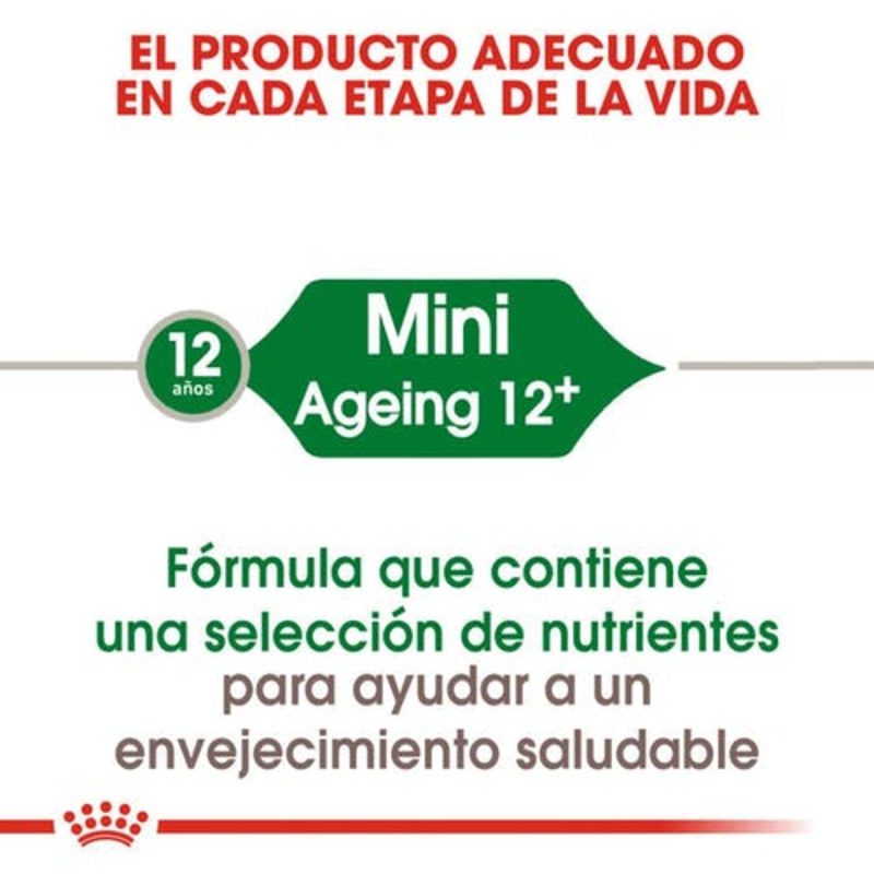 3,5 kg Royal Canin Mini Ageing 12+