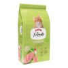 Arion Friends 2 Kg Castrado