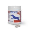 Bioiberica Condroprotector Condrovet Force HA voor Gewrichtsproblemen 120 Tabletten
