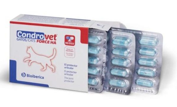 Bioiberica Condrovet Force HA Katzen Gelenkschutz 45 Kapseln