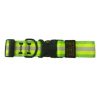Bub’s Collar Cierre Rápido Flash Ancho 40mm Longitud Ajustable 42-62cm