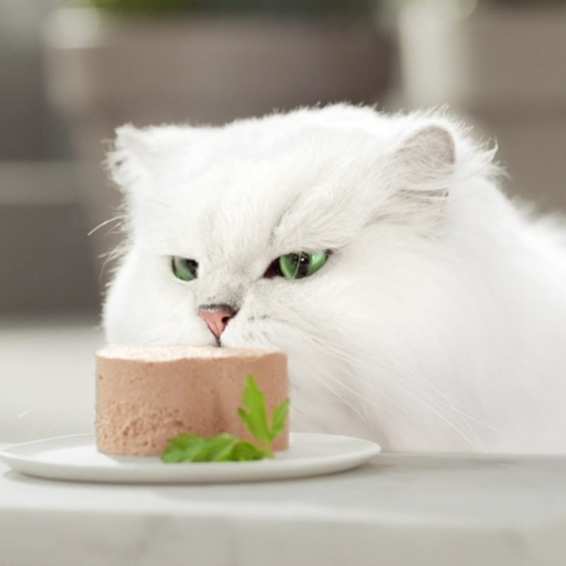 Caja de 24 unidades Lata Gourmet Gold Mousse Salmón para gatos 85 g