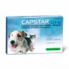 Capstar 1-11 kg für kleine Hunde und Katzen 6 Tabletten