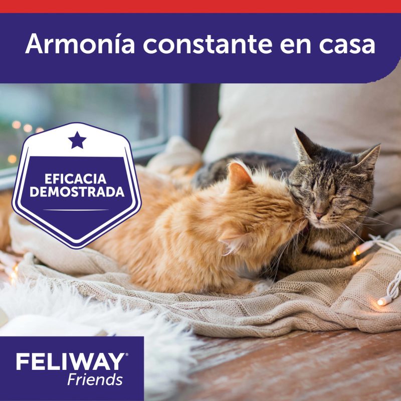 Feliway Friends Recambio 48 ml