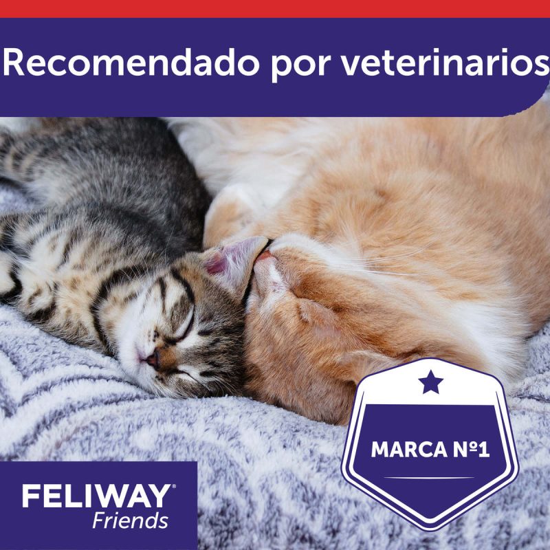 Feliway Friends Recambio 48 ml