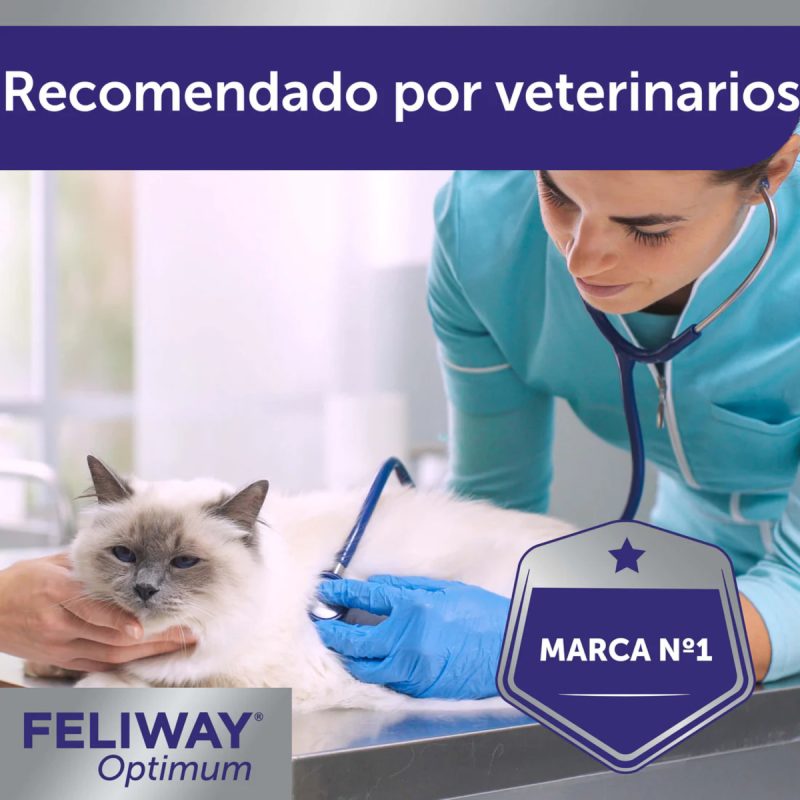 Feliway Optimum Difusor+ Recambio 48ml
