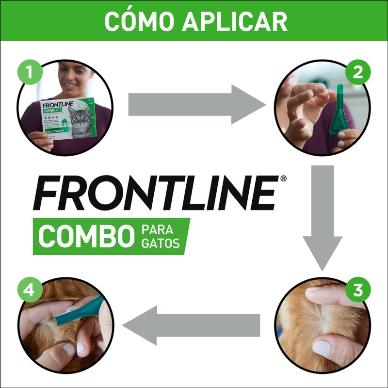 Frontline Combo Gatos 3 Pipetas