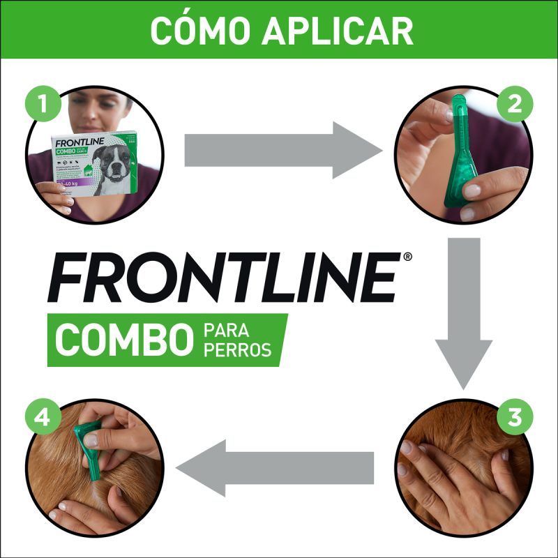 Frontline Combo Perro 2-10 kg  3 Pipetas