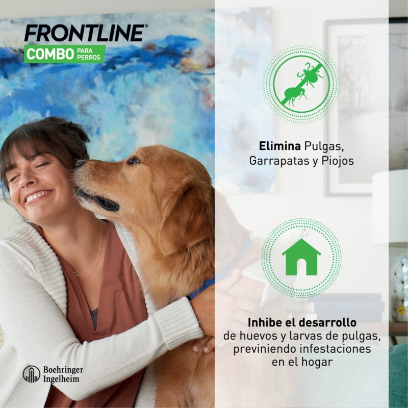 Frontline Combo Perro 2-10 kg  3 Pipetas