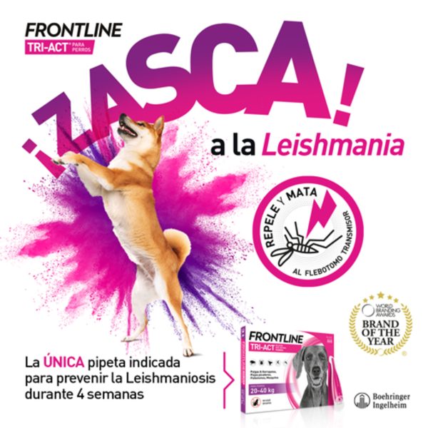 Frontline Tri Act 10-20kg 6 Pipetten