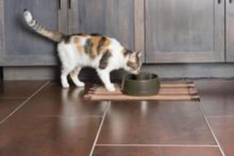 Fuente Mascotas Drinkwell, 1,2L