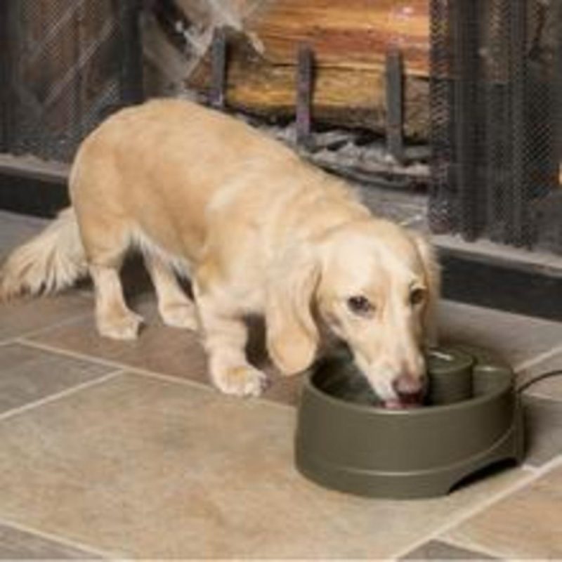 Fuente Mascotas Drinkwell, 1,2L