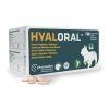 hyaloral 90 compresse per cani di razza piccola e media