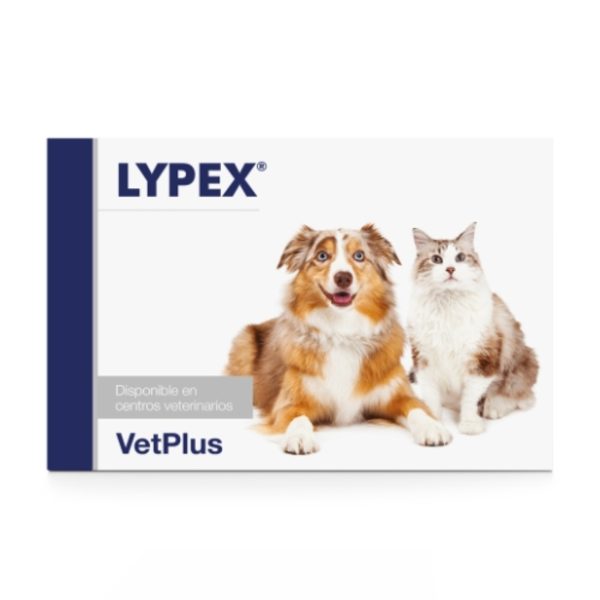 Lypex, 60 Cápsulas