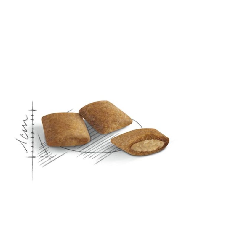 Royal Canin Ageing +12, 4 kg