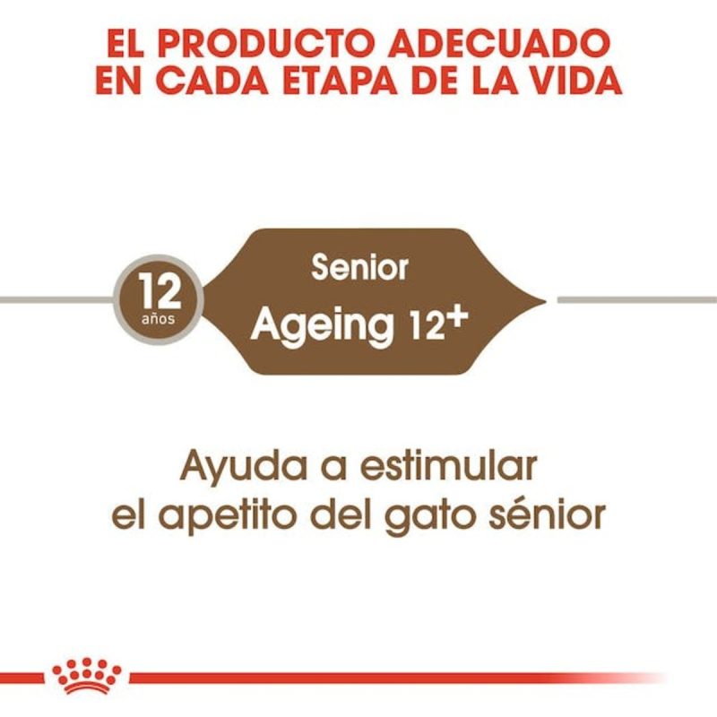 Royal Canin Ageing +12, 4 kg