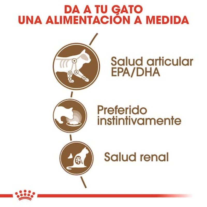 Royal Canin Ageing +12 Gravy, 85 Gr