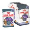 Royal Canin Appetite Control (gelatine) – Doos 12 x 85 g