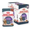 Royal Canin Appetite Control (saus) – Doos 12 x 85 g