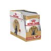 Royal Canin British Shorthair – Scatola 12 x 85 g