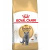 Royal Canin British Shorthair – Sacco 10 KG