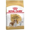 Royal Canin Cavalier King Charles Adult – Zak 3 KG