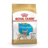 Royal Canin Chihuahua Filhote – Saco 0,5 KG