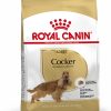 Royal Canin Cocker Adult – Sacco 3 KG