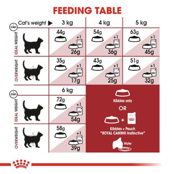 Royal Canin Fit 32, 10 kg