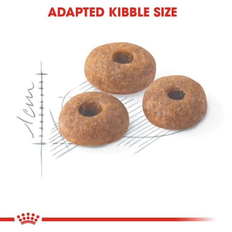 Royal Canin Fit 32, 2 kg
