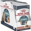 Royal Canin Hairball Care (salsa) – Scatola 12 x 85 g