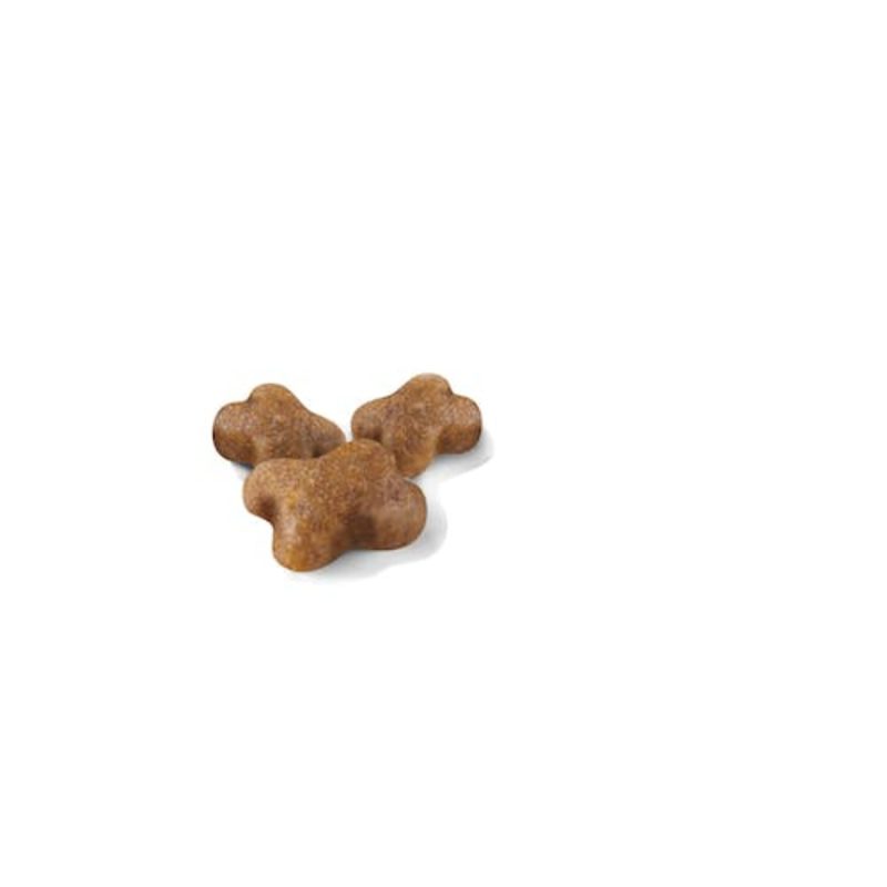 Royal Canin Kitten, 10 kg