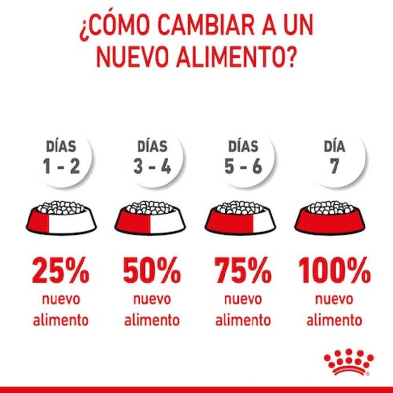 Royal Canin Kitten, 10 kg