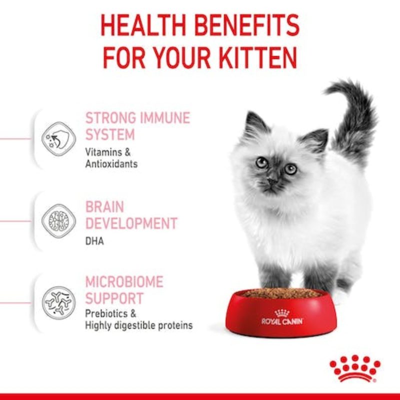 Royal Canin Kitten, 10 kg