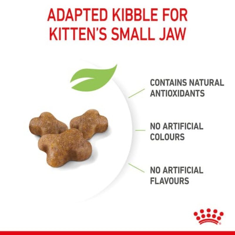 Royal Canin Kitten, 10 kg