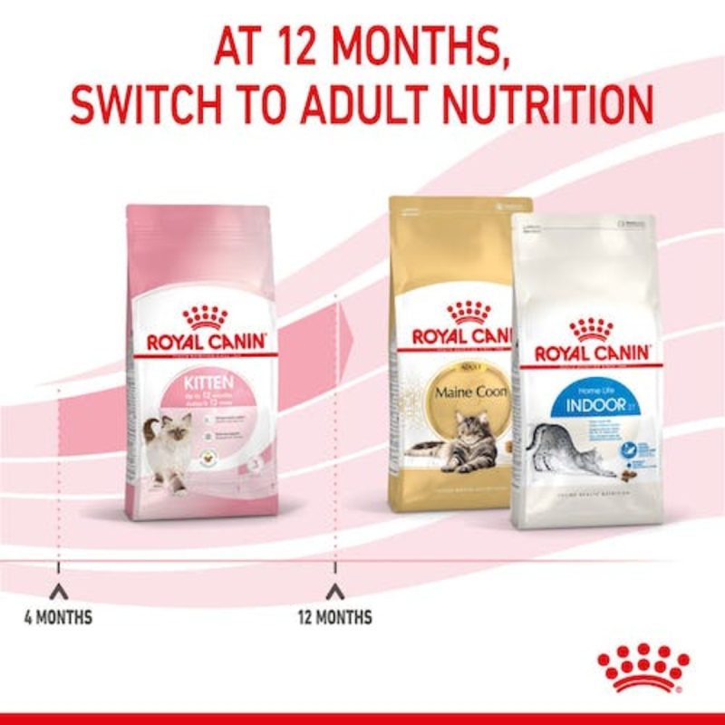 Royal Canin Kitten, 10 kg